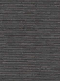 Antonina Vella Dazzling Dimensions Ribbon Bamboo Wallpaper - Black