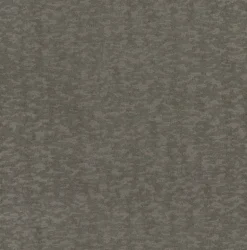 Antonina Vella Dazzling Dimensions Weathered Cypress Wallpaper - Silver