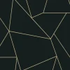 Antonina Vella Modern Metals Nazca Wallpaper - Black & Gold