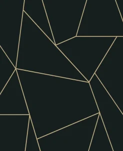 Antonina Vella Modern Metals Nazca Wallpaper - Black & Gold