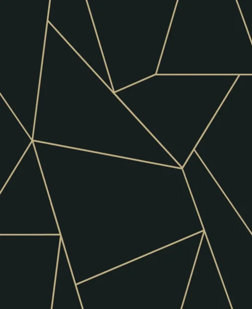 Antonina Vella Modern Metals Nazca Wallpaper - Black & Gold