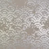 Antonina Vella Modern Metals Eclipse Wallpaper - Khaki & Silver
