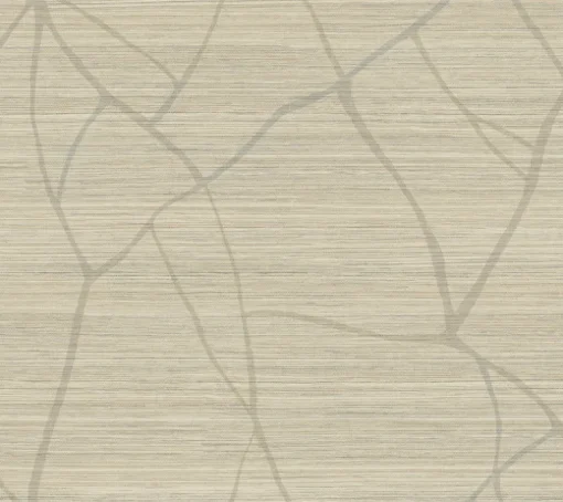 Artistic Abstracts Raska Wallpaper - Brown