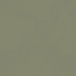 A-Street Prints Hidden Treasures Parget Skog Wallpaper - Olive