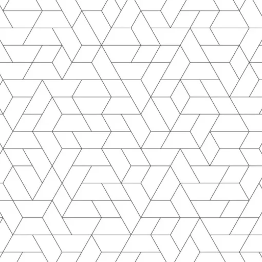 Black & White Resource Library Point of View Wallpaper - Black