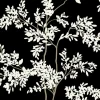 Blooms Second Edition Lunaria Silhouette Wallpaper - Black & White