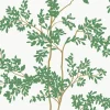 Blooms Second Edition Lunaria Silhouette Wallpaper - White & Green