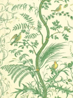 Brunschwig & Fils Bird and Thistle Wallpaper - Green