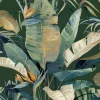Candice Olson Natural Discovery Tropical Cabana Wallpaper - Green