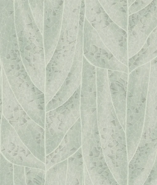 Candice Olson Natural Discovery Dicot Leaf Wallpaper - Spa