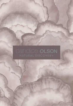Candice Olson Natural Discovery Dreamland Wallpaper - Blue