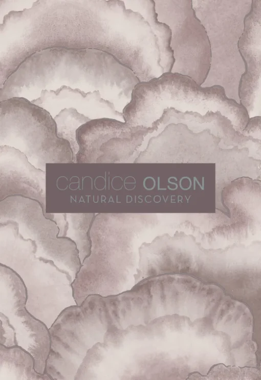 Candice Olson Natural Discovery Dreamland Wallpaper - Blue