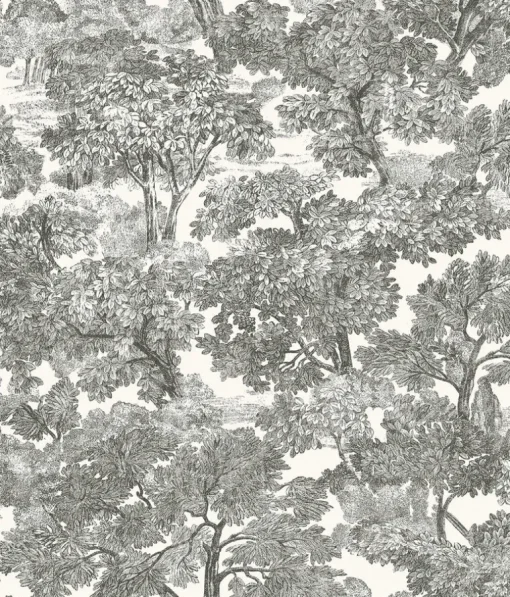Chesapeake Farmhouse Spinney Toile Wallpaper - Black