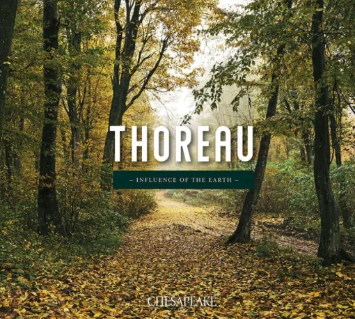 Chesapeake Thoreau Solitude Wallpaper - Grey
