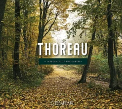 Chesapeake Thoreau Walden Forest Wallpaper - Green