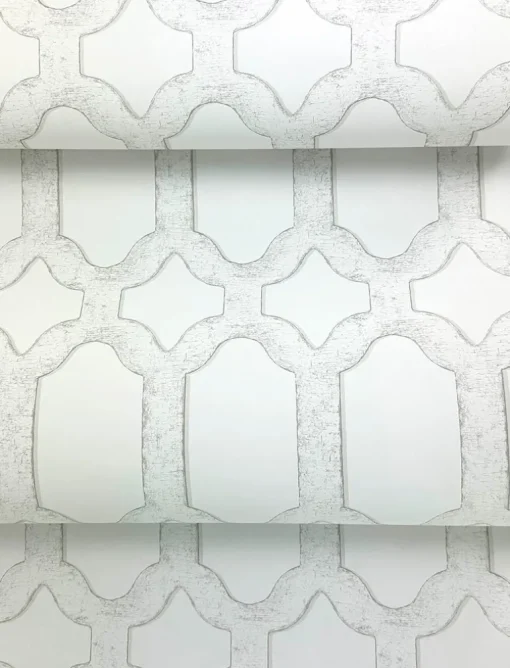 Chesapeake Wildflower Chervil Trellis Wallpaper - White