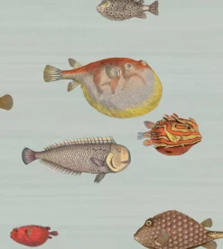 Cole & Son Acquario Wallpaper - Print Room Blue