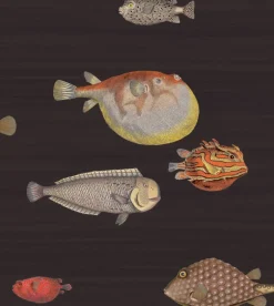 Cole & Son Acquario Wallpaper - Black & Multi