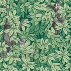 Cole & Son Fornasetti Senza Tempo II Foglie E Scimmie Wallpaper - Green