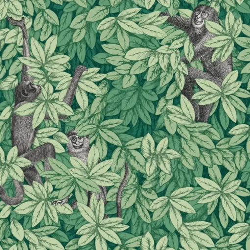 Cole & Son Fornasetti Senza Tempo II Foglie E Scimmie Wallpaper - Green