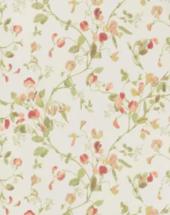Cole & Son Sweet Pea Wallpaper - Pink