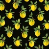Daisy Bennett Lemoncello Peel & Stick Wallpaper - Black