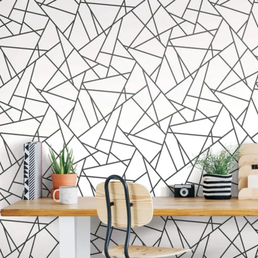 Fracture Geometric Peel & Stick Wallpaper - Black & White