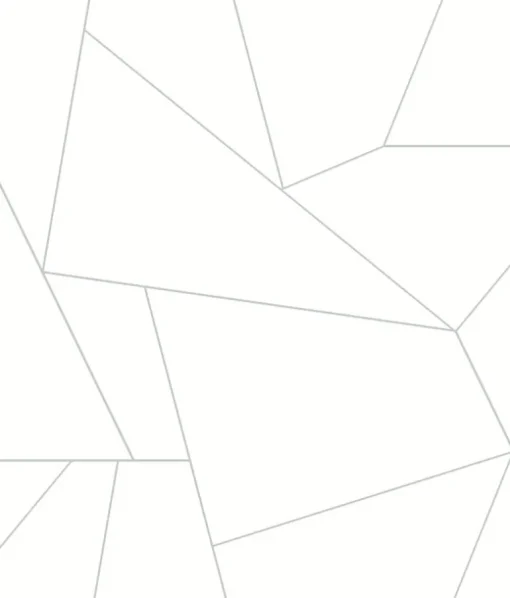 Fractured Prism Peel & Stick Wallpaper - White & Gray