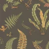G P & J Baker Ferns Wallpaper - Charcoal