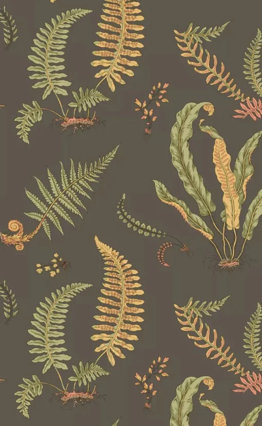 G P & J Baker Ferns Wallpaper - Charcoal