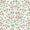 Greenhouse Jasmine Wallpaper - Coral