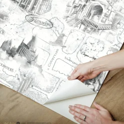 Harry Potter Hogwarts Map Peel & Stick Wallpaper - Black & White