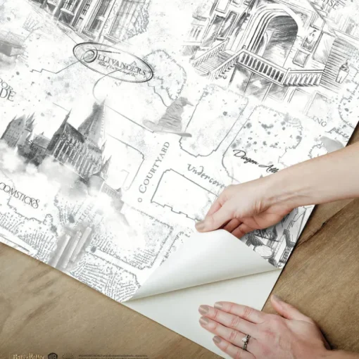 Harry Potter Hogwarts Map Peel & Stick Wallpaper - Black & White