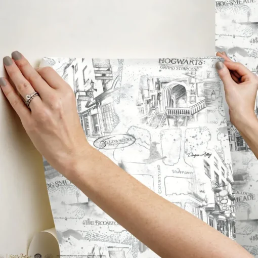 Harry Potter Hogwarts Map Peel & Stick Wallpaper - Black & White