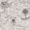 Harry Potter Marauder's Map Peel & Stick Wallpaper - Gray