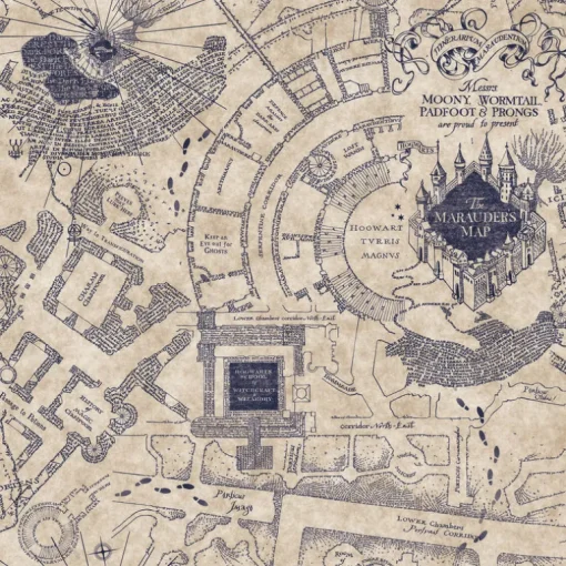 Harry Potter Marauder's Map Peel & Stick Wallpaper - Blue