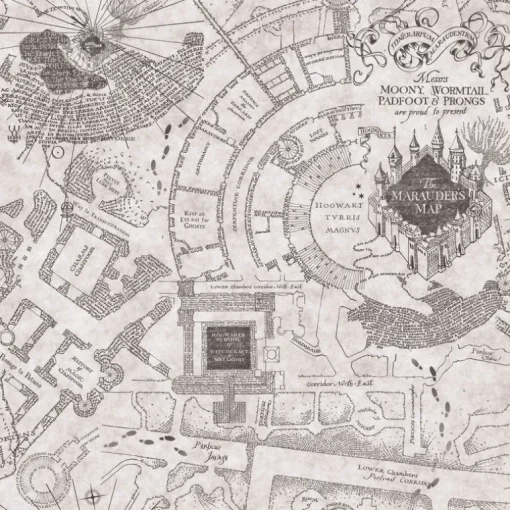 Harry Potter Marauder's Map Peel & Stick Wallpaper - Gray