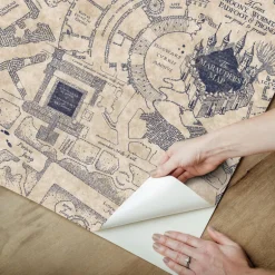 Harry Potter Marauder's Map Peel & Stick Wallpaper - Blue
