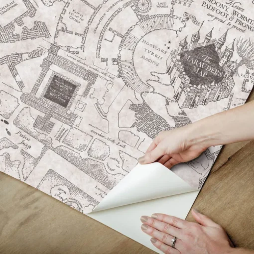 Harry Potter Marauder's Map Peel & Stick Wallpaper - Gray