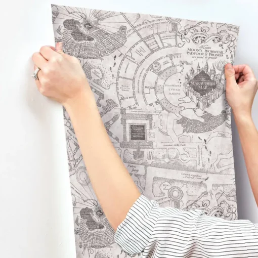 Harry Potter Marauder's Map Peel & Stick Wallpaper - Gray