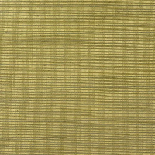 Lillian August Natural Textured Wallcoverings Grasscloth - Metallic Gold & Aloe