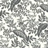 Rifle Paper Co. Canopy Wallpaper - Black & White