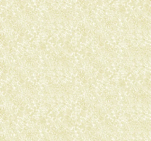 Rifle Paper Co. Champagne Dots Wallpaper - Gold & White