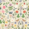 Rifle Paper Co. Curio Peel & Stick Wallpaper - Cream