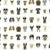 Rifle Paper Co. Dog Days Peel & Stick Wallpaper - Grey