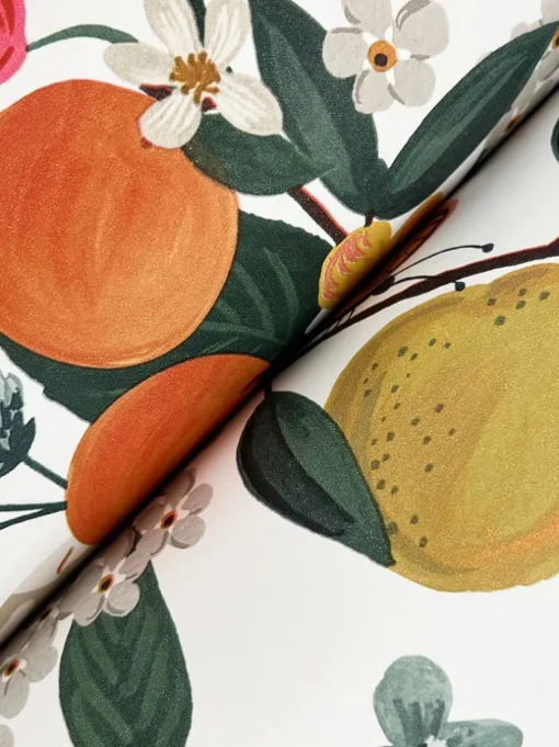 Rifle Paper Co. Flower Studies Wallpaper - Rose
