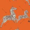Scalamandre Zebras Collection Zebras Wallpaper - Orange