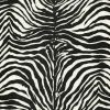 Seabrook Dolce & Gabbana Zebra Dolce Wallpaper - Dante