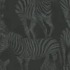 Seabrook Dolce & Gabbana Zebra Romance Wallpaper - Misterioso