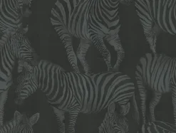 Seabrook Dolce & Gabbana Zebra Romance Wallpaper - Misterioso